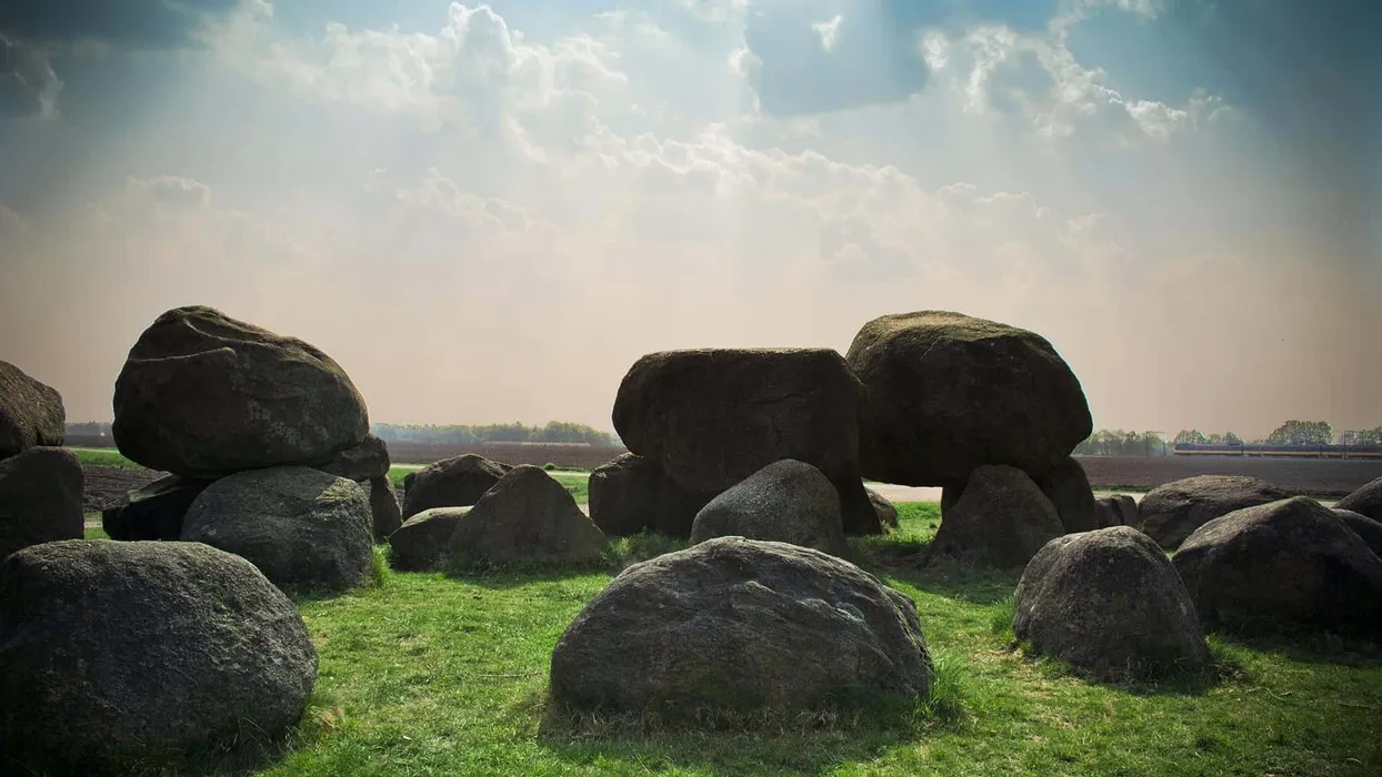Leather White Trainers